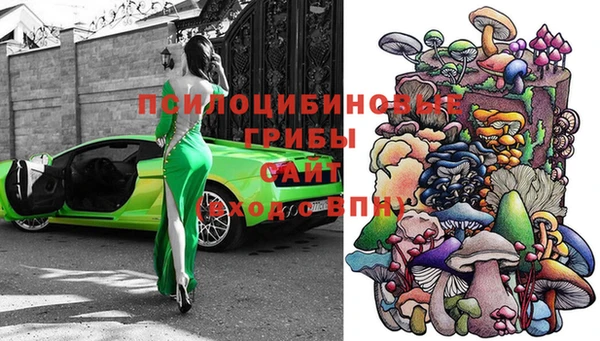 шишки Армянск