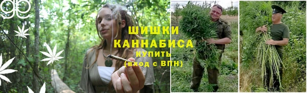 шишки Армянск