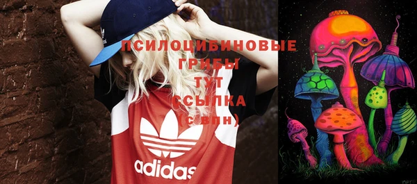 шишки Армянск