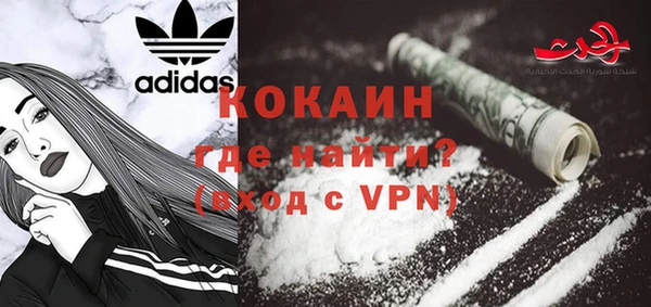 шишки Армянск