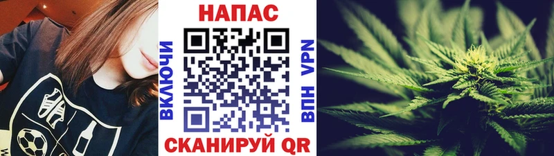 Бошки марихуана индика  Руза 